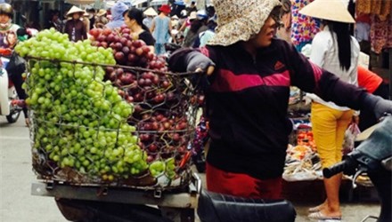 mận trung quốc, đào trung quốc, dưa vàng trung quốc, nho trung quốc, hoa quả trung quốc, hoa quả tàu, hàng tàu