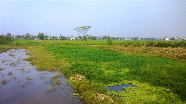 Bãi Bạc Hà, xã Phú Phúc nơi xảy ra sự việc vào ngày 29/11/1992