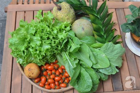 Bí quyết, trồng cây, vườn cây, cà chua bi, bà mẹ, Sài Gòn