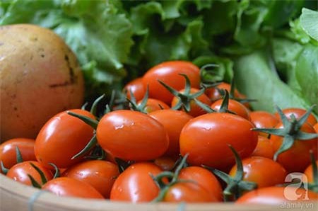 Bí quyết, trồng cây, vườn cây, cà chua bi, bà mẹ, Sài Gòn