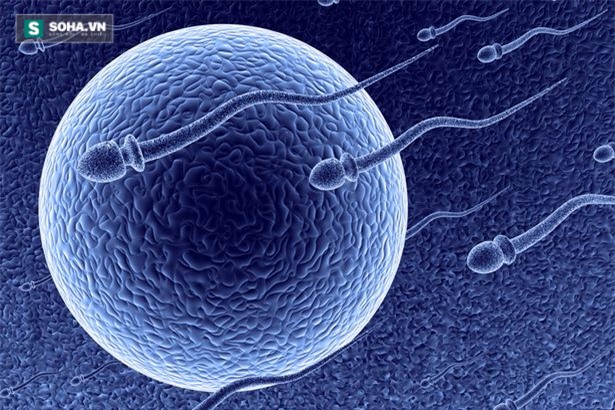 Đi tìm lời giải hiện tượng cực khoái ở phụ nữ - Ảnh 1.