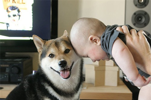 khong ngo sau 5 nam, cap doi be nhat va chu cho maru noi tieng da thay doi den vay - 2