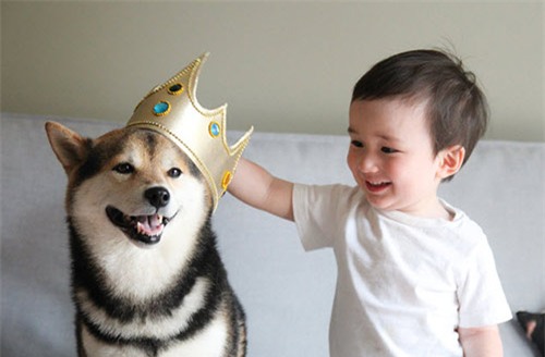 khong ngo sau 5 nam, cap doi be nhat va chu cho maru noi tieng da thay doi den vay - 3