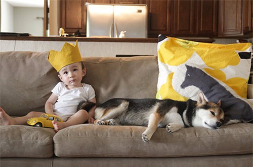 khong ngo sau 5 nam, cap doi be nhat va chu cho maru noi tieng da thay doi den vay - 4