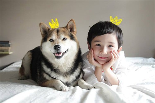 khong ngo sau 5 nam, cap doi be nhat va chu cho maru noi tieng da thay doi den vay - 6