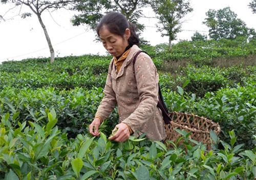 "di ghe con chong" va hai cau chuyen cham den trai tim - 4