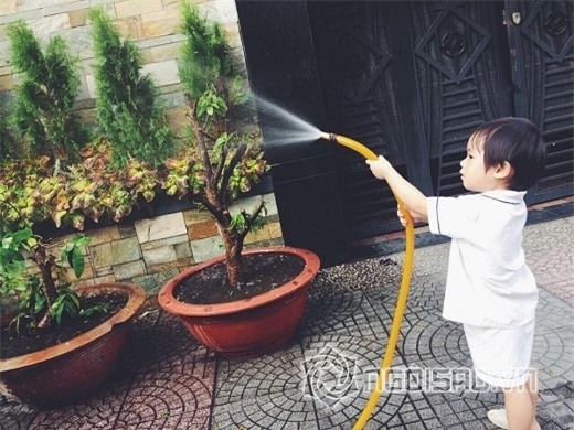 Sao Việt dạy con  3