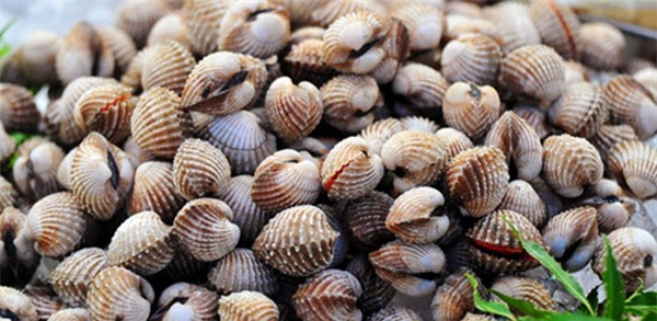 Mẹo chọn mua và làm sạch ngao sò ốc không phải ai cũng biết - Ảnh 1.