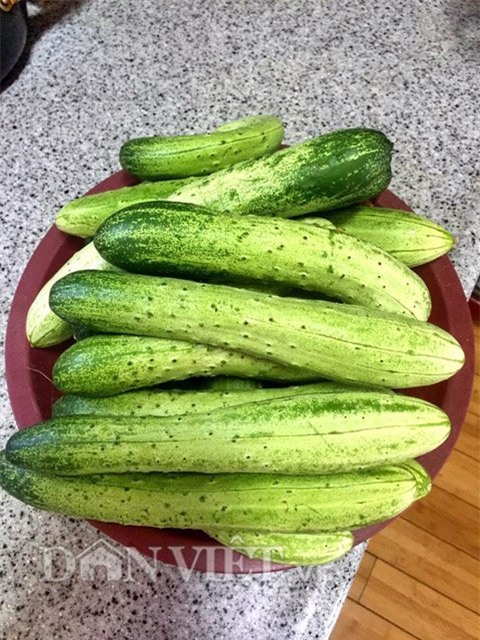 me viet 9x trong rau qua tot um nho ba thuoc bac “than thanh” hinh anh 11