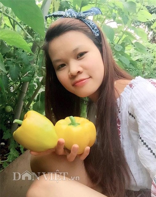 me viet 9x trong rau qua tot um nho ba thuoc bac “than thanh” hinh anh 15