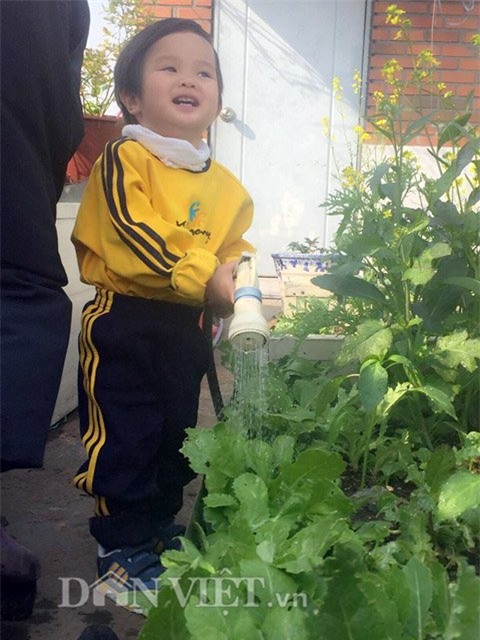 me viet 9x trong rau qua tot um nho ba thuoc bac “than thanh” hinh anh 16