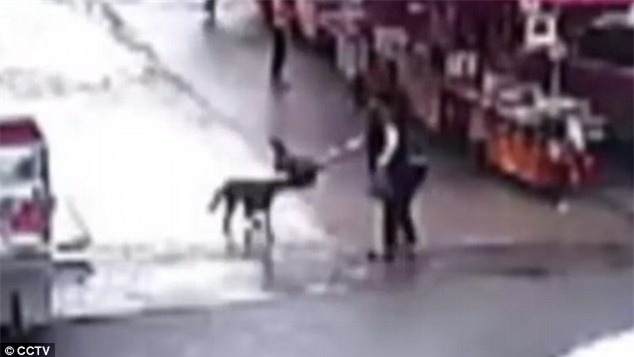Trung Quốc: Chó điên làm loạn suốt 2 tiếng, tấn công hơn 20 người trên đường phố - Ảnh 3.