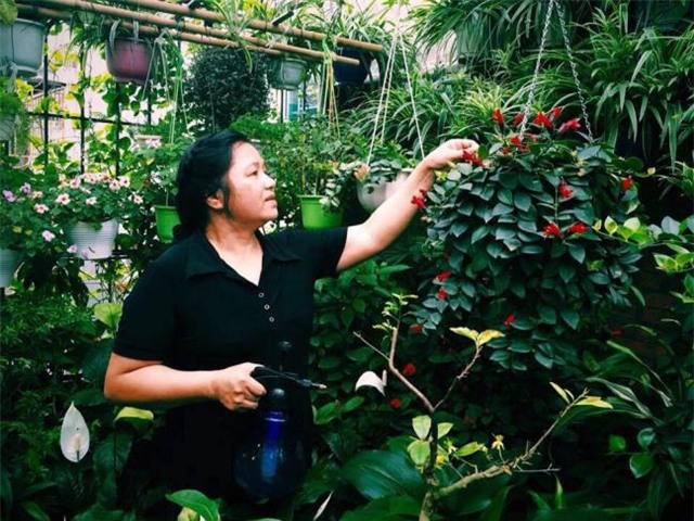 vườn cây, trồng cây trên tầng thượng, vườn treo, sân thượng,