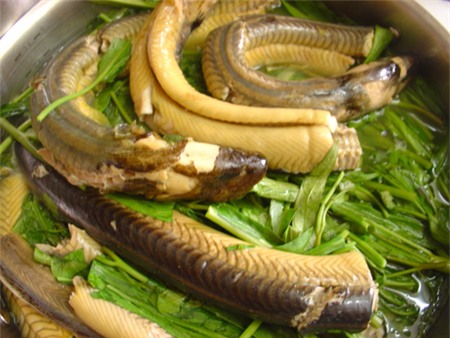 Ăn thịt lươn không đúng cách rất dễ nhiễm ký sinh trùng - Ảnh 1.