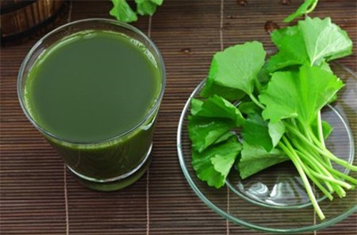 seo lom mo di trong thay chi voi 2 ngan dong rau ma - 6