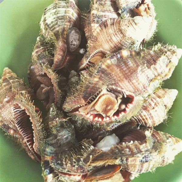 đặc sản ninh thuận