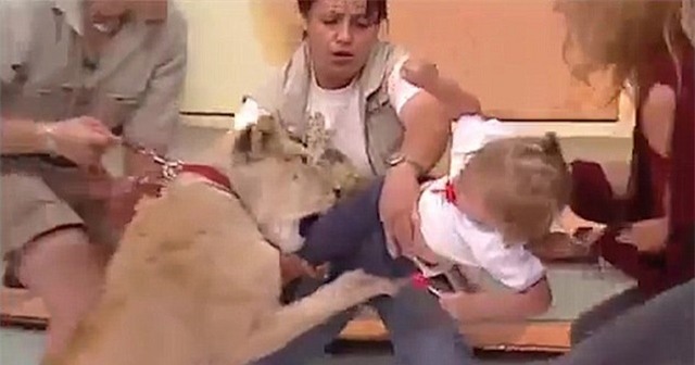 su tu tan cong em be ngay tren song truyen hinh mexico hinh anh 1