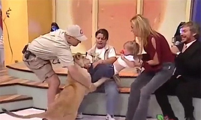 su tu tan cong em be ngay tren song truyen hinh mexico hinh anh 2