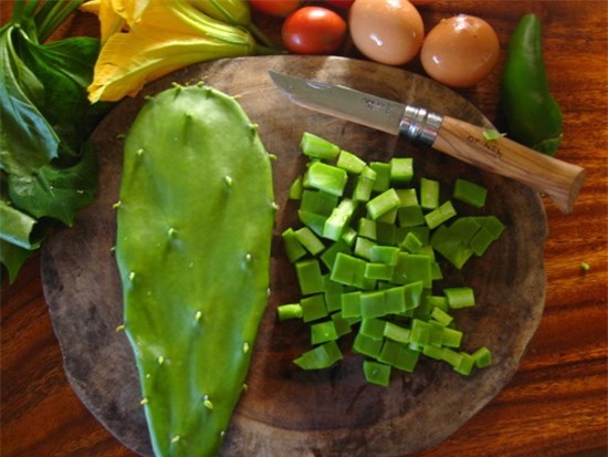 Xương rồng: Siêu thực phẩm mới, đặc sản của người dân Quảng Nam - Ảnh 5.