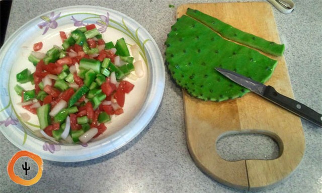 Xương rồng: Siêu thực phẩm mới, đặc sản của người dân Quảng Nam - Ảnh 7.