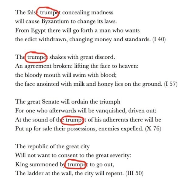 tien doan ron nguoi ve donald trump hinh anh 3