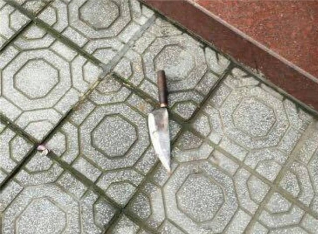 giết người, chồng đâm vợ cũ, Thái Bình