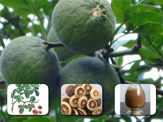 Bài thuốc chữa dạ dày khiến bệnh nhân mừng như bắt được vàng - Ảnh 6.