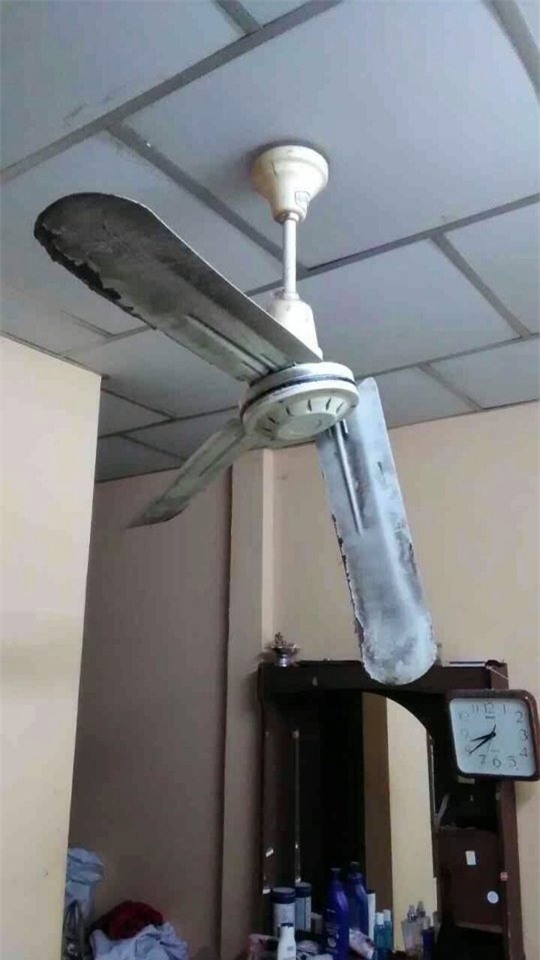 be gai 3 tuoi bi quat tran cuon dau khi duoc bo tung hung hinh anh 3