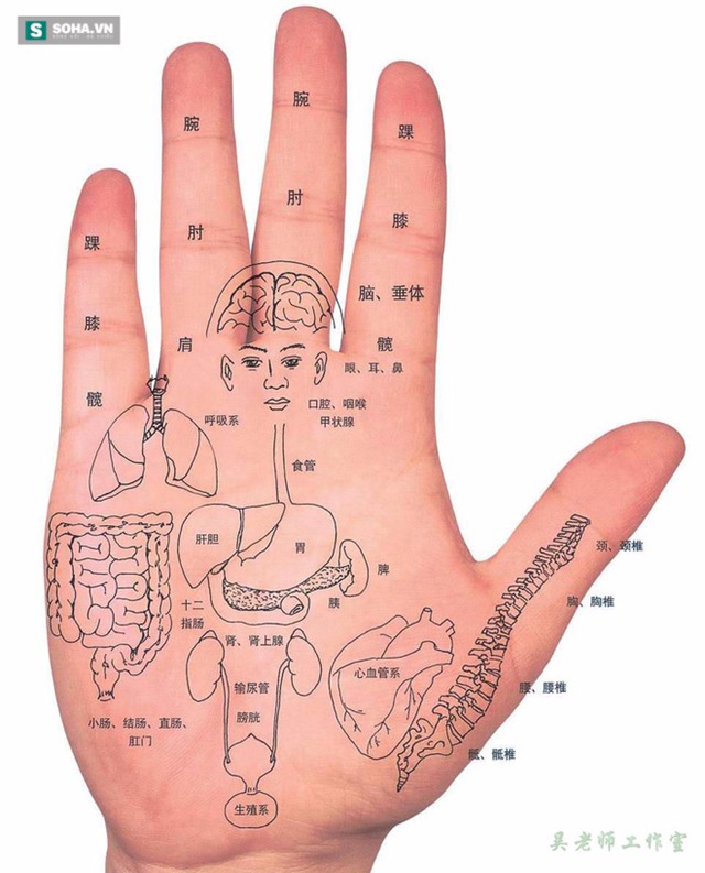 Kỳ diệu: Trẻ hóa, thải độc ngũ tạng nhờ một động tác đơn giản - Ảnh 1.