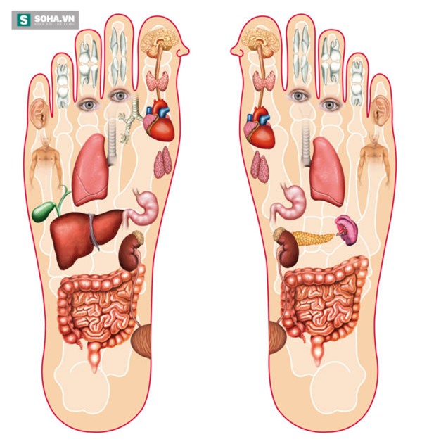 Kỳ diệu: Trẻ hóa, thải độc ngũ tạng nhờ một động tác đơn giản - Ảnh 2.