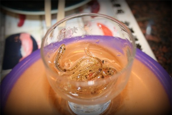 Những món ăn độc nhất vô nhị của người Nhật 9