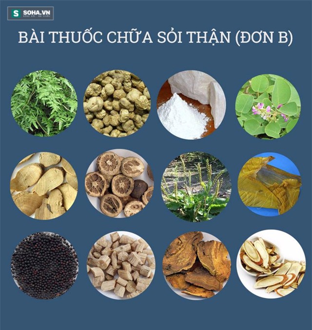 Bài thuốc chữa sỏi thận nổi như cồn vì chỉ mất 6 ngày là khỏi - Ảnh 2.