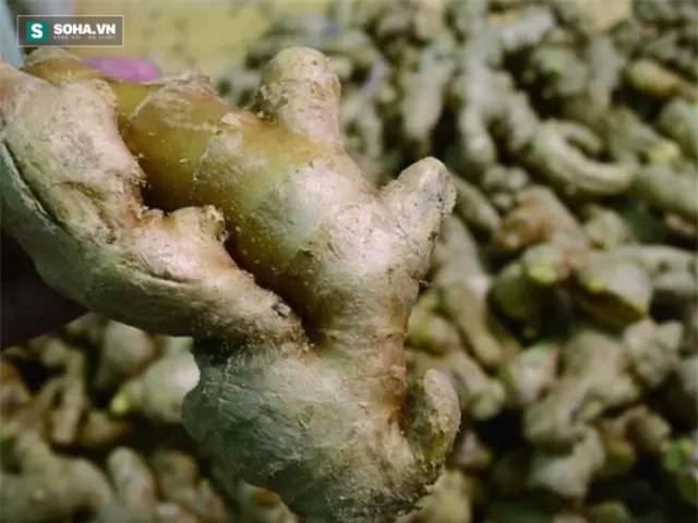 Những thực phẩm tự nó đã có độc bạn phải biết đường mà tránh xa - Ảnh 10.