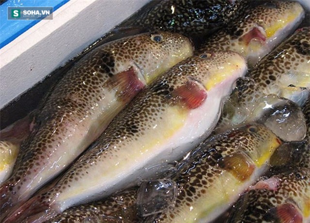 Những thực phẩm tự nó đã có độc bạn phải biết đường mà tránh xa - Ảnh 4.