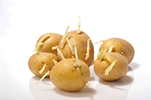 Những thực phẩm tự nó đã có độc bạn phải biết đường mà tránh xa - Ảnh 8.