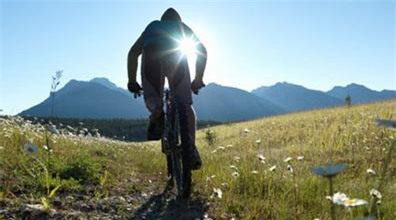 Câu chuyện Đại Bàng và Ốc Sên: Con đường thành công vốn rất rộng rãi, vì đâu có nhiều người kiên trì đến cùng - Ảnh 2.