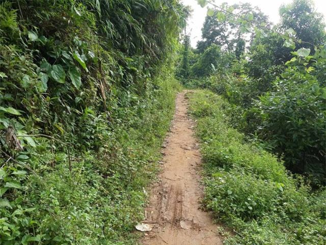 Thảm sát 4 người ở Lào Cai: 200 cảnh sát truy bắt hung thủ trong mưa lớn - Ảnh 2.