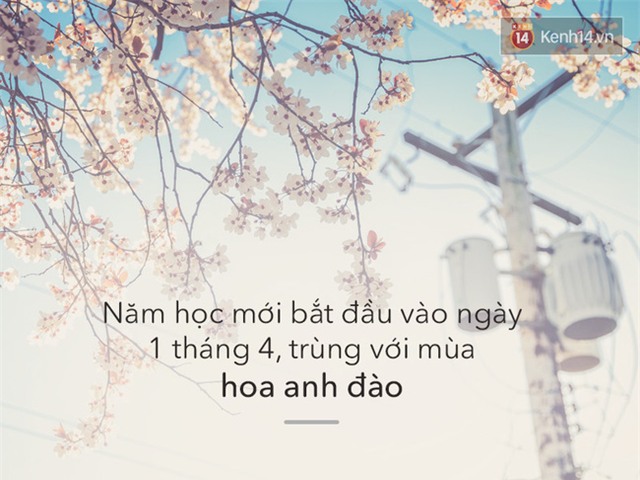 - Ảnh 2.