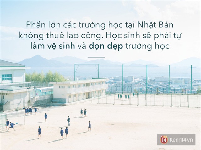 - Ảnh 3.