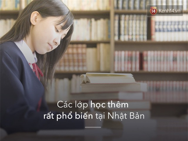 - Ảnh 5.