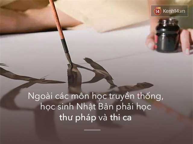 - Ảnh 6.