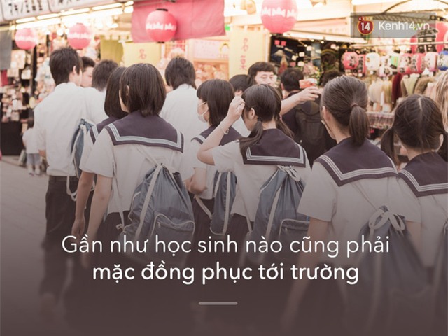 - Ảnh 7.