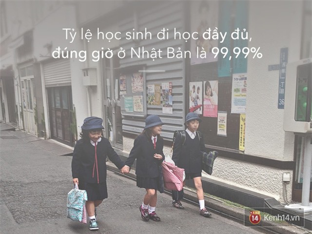 - Ảnh 8.