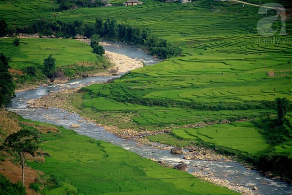 sapa
