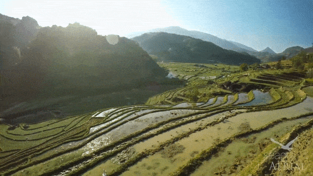 sapa
