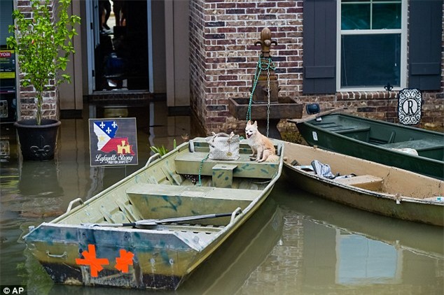 Rùng mình cảnh tượng quan tài trôi nổi trên đường phố vì mưa lũ - Ảnh 4.