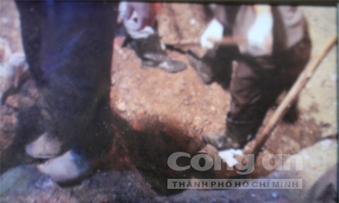 giết vợ, giết vợ chôn xác, giết vợ chôn xác trong nhà