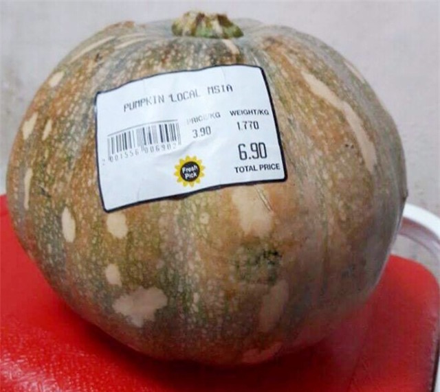 Qua bi tu Singapore tang me chua ung thu va long hieu thao hinh anh 1