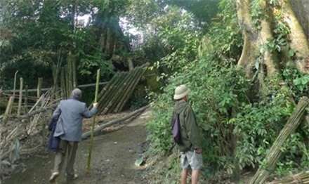 Thuong lai Trung Quoc vo tan rung dau nguon gom thuoc quy hinh anh 1