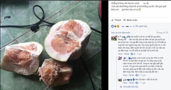 Tình chị dâu em chồng sứt mẻ nghiêm trọng chỉ vì con người yêu anh trai... không biết gọt bưởi - Ảnh 1.